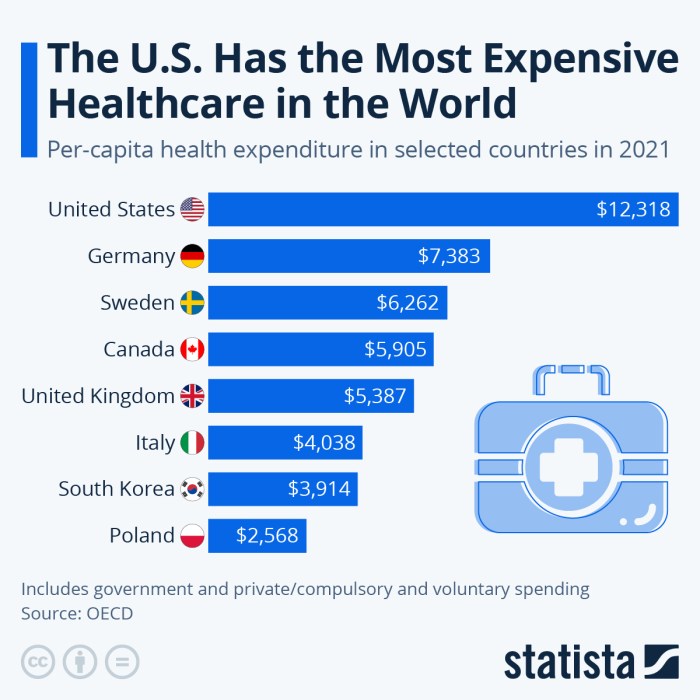 Healthcare costs health insurance year average per expenses person annual overall family years american premium household system income four projected