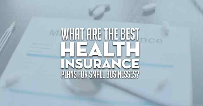 What are the best health insurance plans for small businesses?