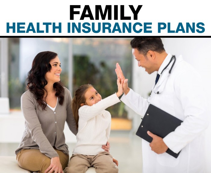 What are the best family health insurance plans?