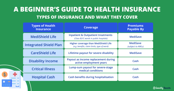 Insurance health plans life options plan coverage medical many care doors hmo single choices enrollment employer aca period special right