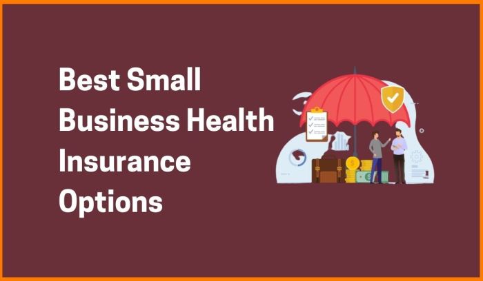 What are the best health insurance plans for small businesses?