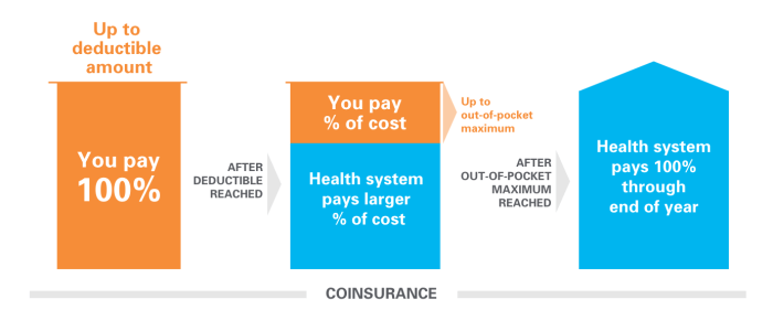 What are health insurance plans without copay?