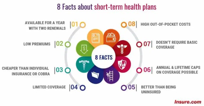 What are short-term health insurance plans?