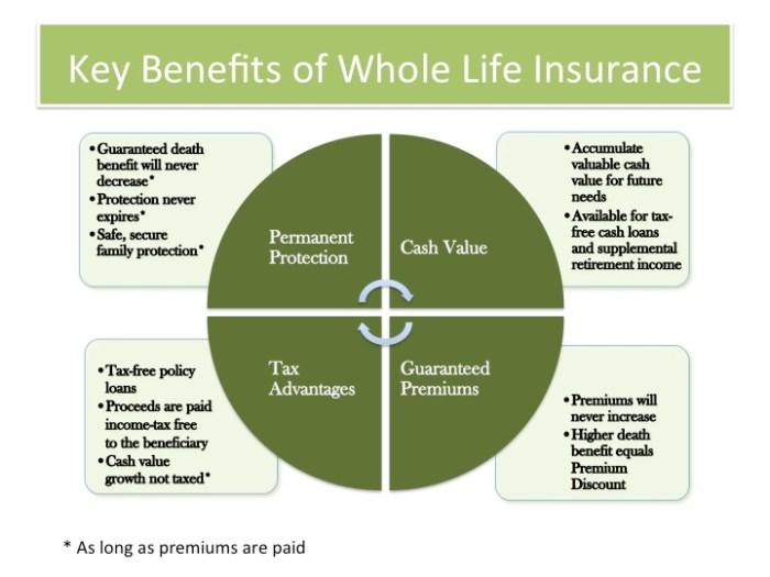 Insurance life policies types policy different financial personal services health