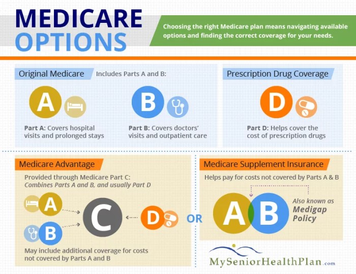 What are the best health insurance plans for seniors?