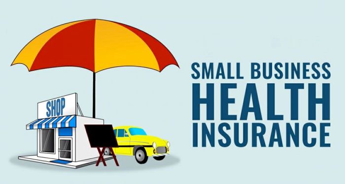 Insurance business small health heath