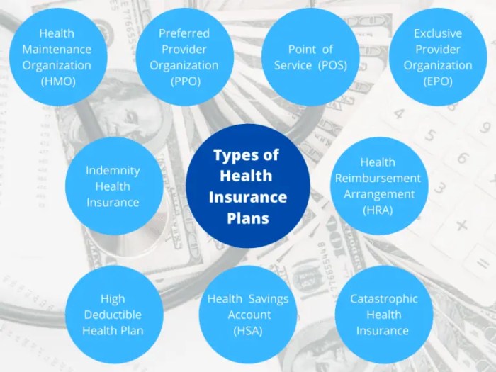 What are private health insurance plans?