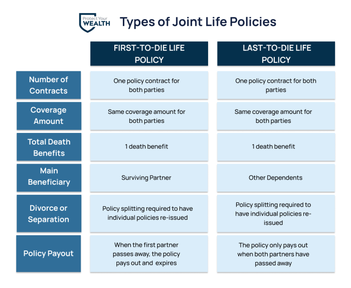 What are joint life insurance policies?