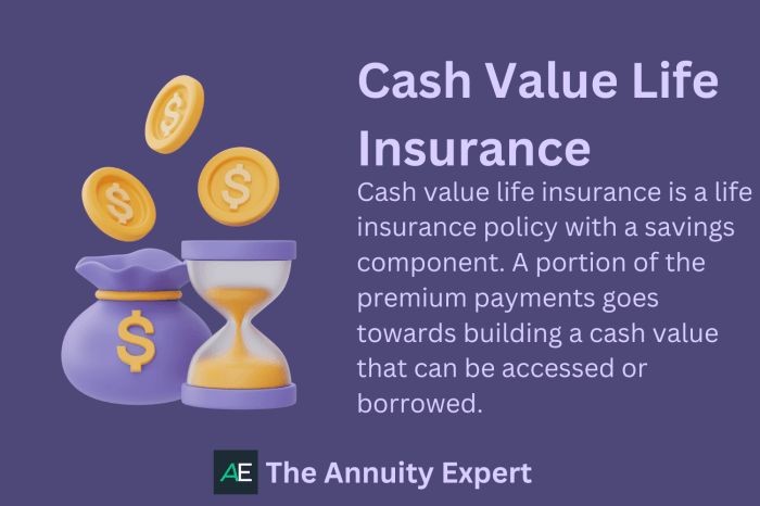 What are the best life insurance policies with cash value?