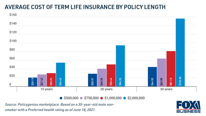 How much does term life insurance cost?