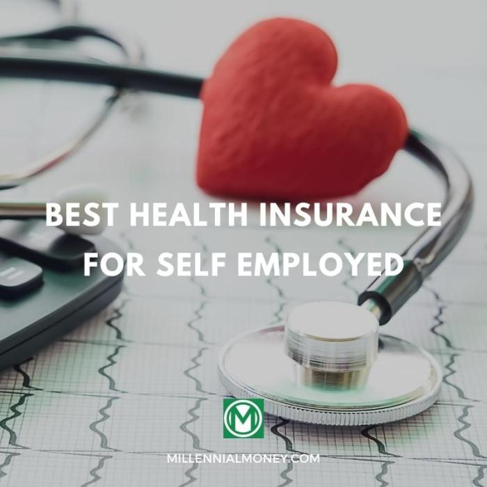 What are the best health insurance plans for self-employed individuals?