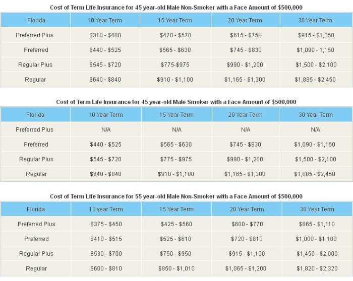 How much does term life insurance cost?