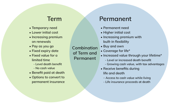 What are convertible life insurance policies?