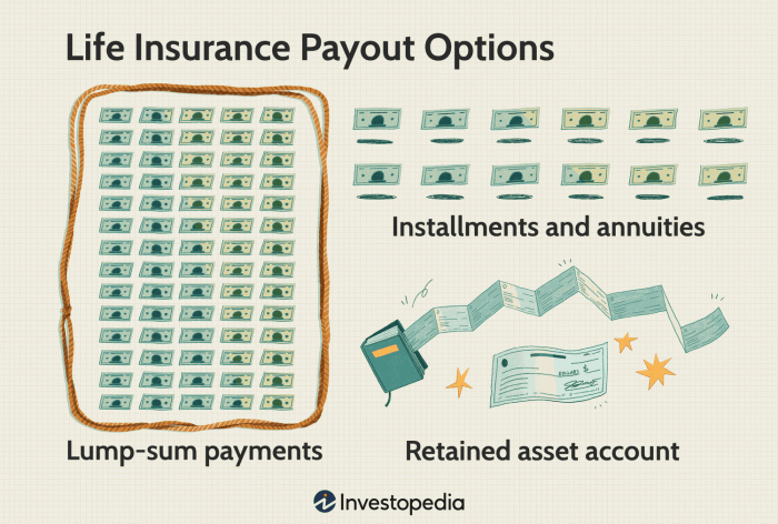 Insurance life much whole get