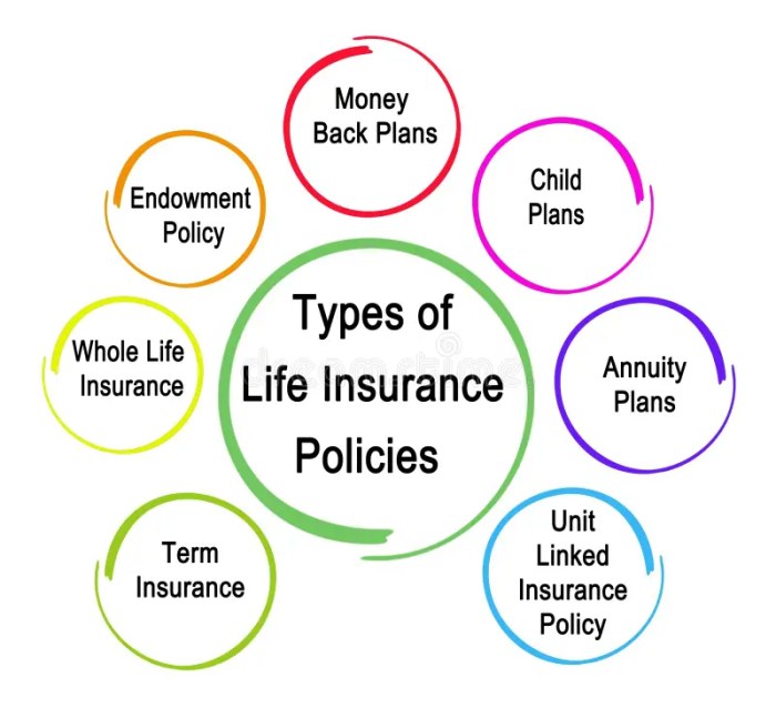 What are guaranteed life insurance policies?