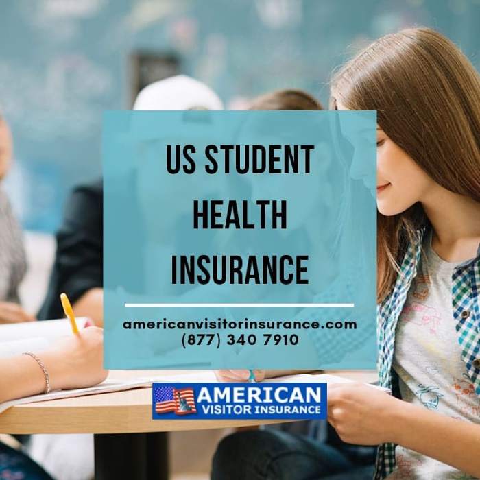 What are student health insurance plans?