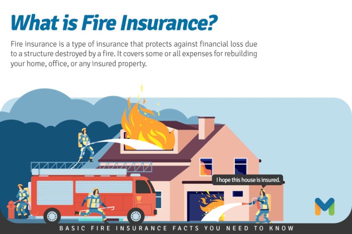 Fire insurance policy